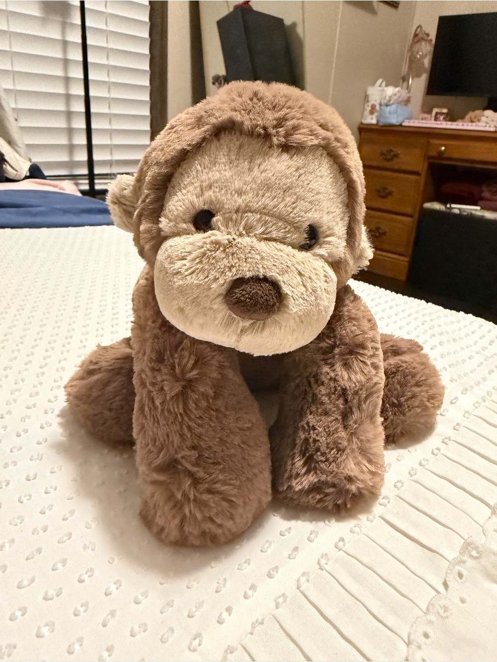 Jellycat Smudge Monkey | HTF